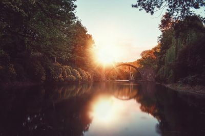 Reflection of trees in water at sunset