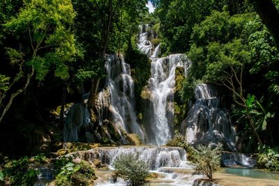 Waterfall in forest