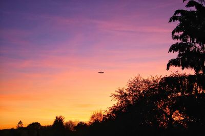 Silhouette of bird flying against sunset sky