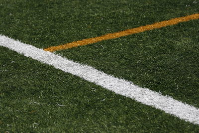 Close-up of white line on grass