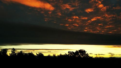 Low angle view of silhouette trees against orange sky