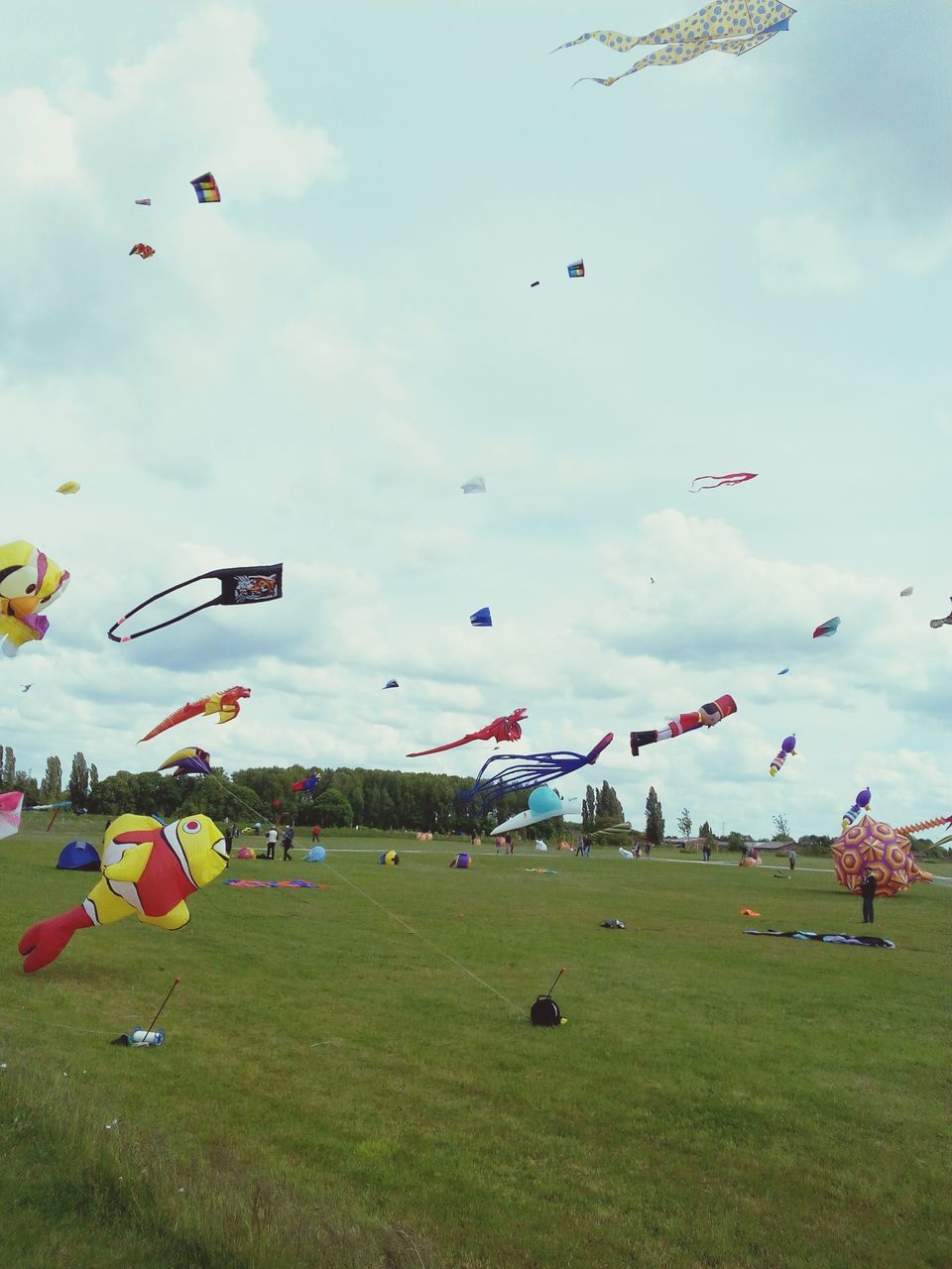 flying, mid-air, sky, grass, cloud - sky, parachute, hot air balloon, kite - toy, field, multi colored, landscape, bird, nature, kite, large group of people, cloud, day, low angle view, outdoors, green color