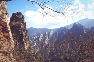 Panoramic view of trees and mountains against sky