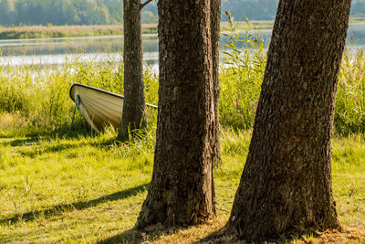 Scenic view of lake