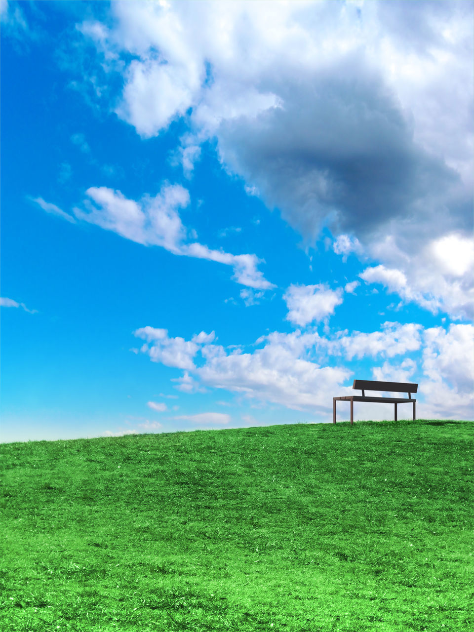 FIELD AGAINST SKY