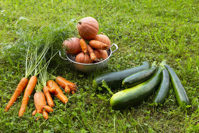 Close-up of freshly harvested organic pumpkins, zucchinis and carrots laying on grass.