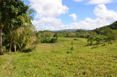 Scenic view of landscape against cloudy sky