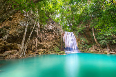 Scenic view of waterfall in forest