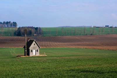 Scenic view of rural landscape