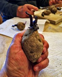 Close-up of man working on table