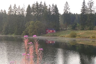 Scenic view of lake by trees