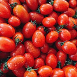 Full frame shot of tomatoes