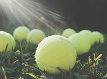View of tennis balls in grass