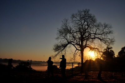 Silhouette bare trees on field against sky during sunset