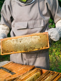 Midsection of man working at farm