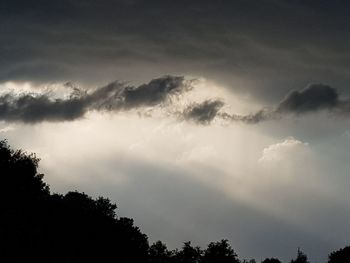 Low angle view of silhouette trees against sky during sunset