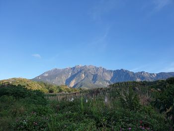 Scenic view of mountains against blue sky