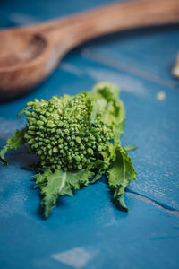 Close-up of vegetables on table