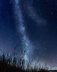 Low angle view of stars in sky at night