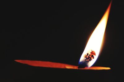 Close-up of illuminated flower over black background