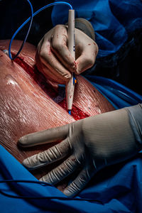 Low section of person wearing hat