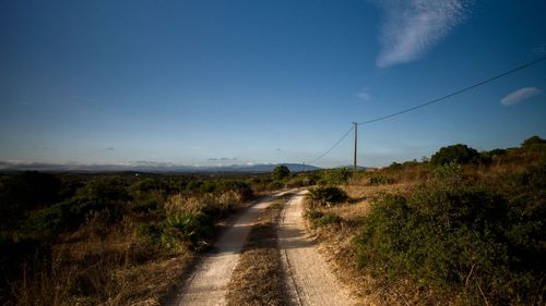 Surface level of country road against clear sky