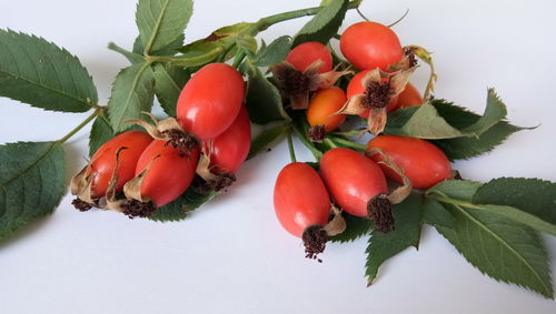 Close-up of fresh fruits