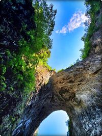 Low angle view of rock formation amidst trees against sky