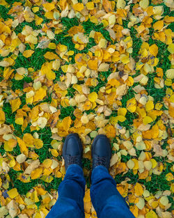 Low section of person standing on yellow leaves