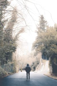 Rear view of man walking on road amidst trees