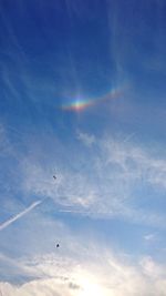 Low angle view of birds flying in sky