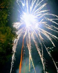 Low angle view of fireworks against sky at night