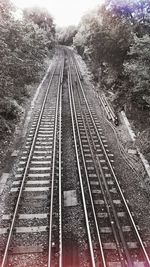 Railroad tracks in winter