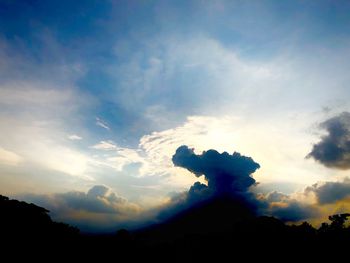 Low angle view of silhouette trees against sky during sunset