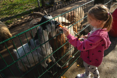 Side view of boy feeding bird