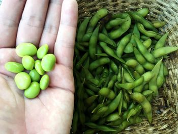 Close-up of hand holding green vegetables