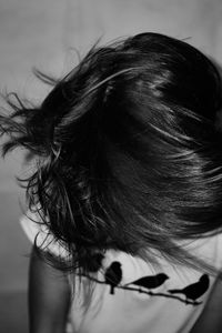 Close-up of horse eye