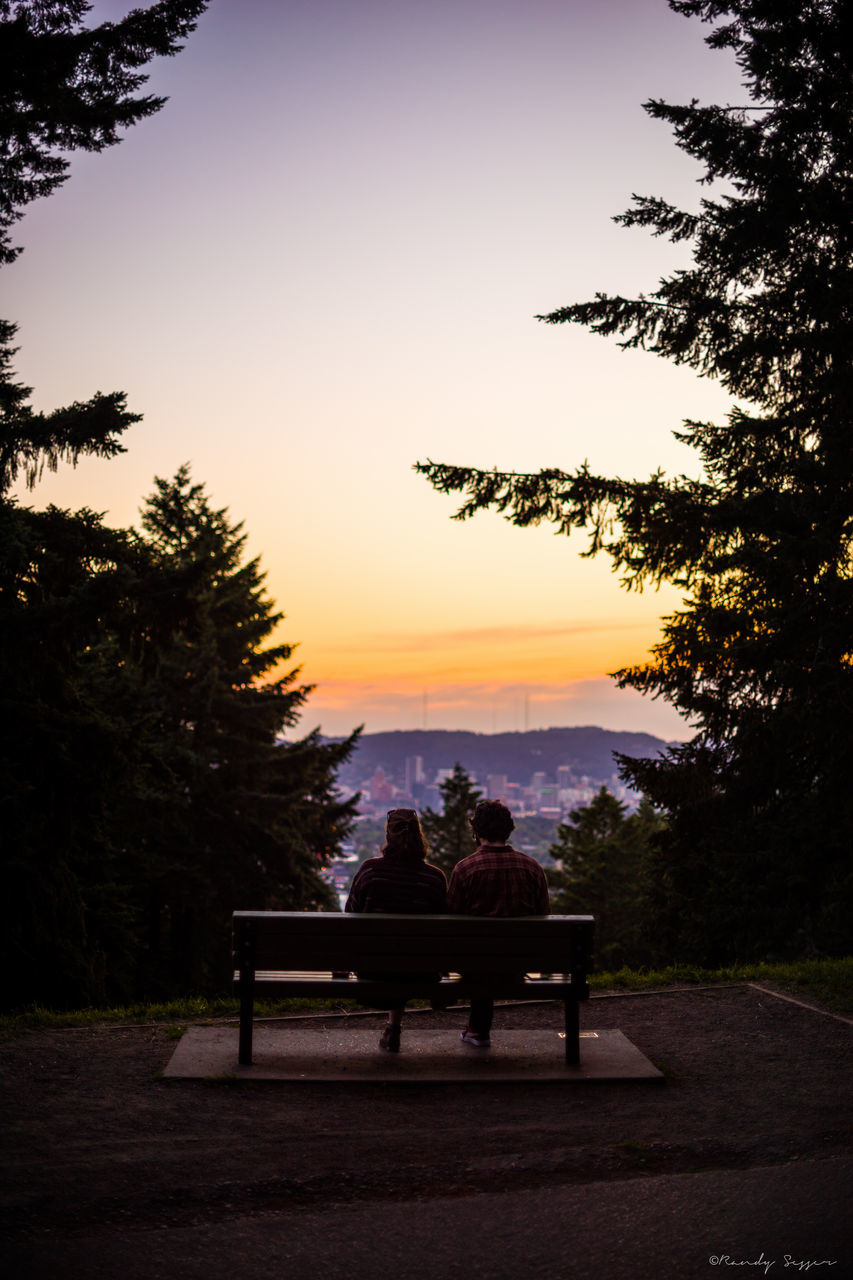 TREES ON LANDSCAPE AT SUNSET