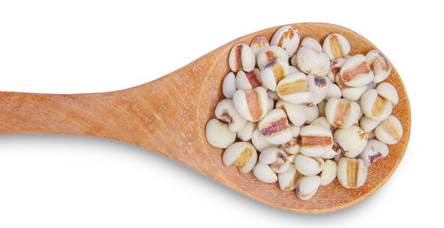 Directly above shot of bread in bowl against white background