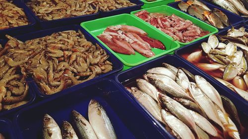 High angle view of fish for sale at market