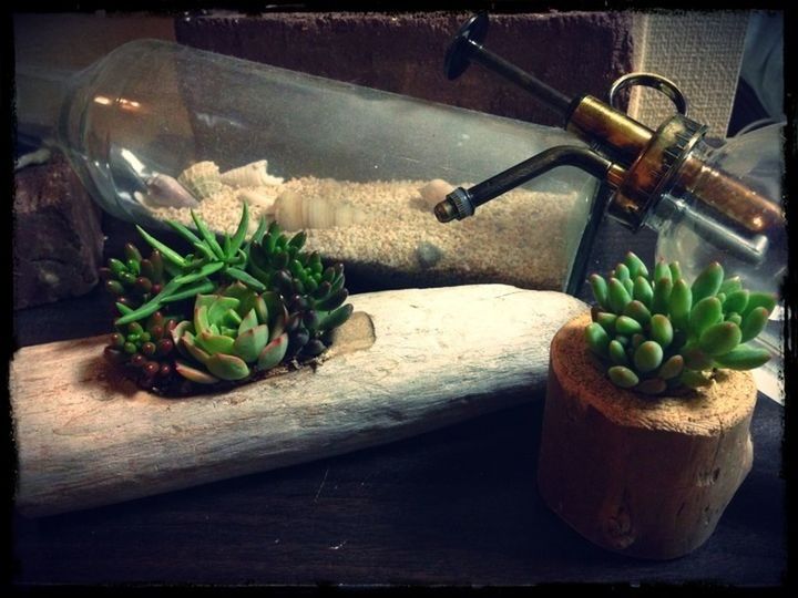 food and drink, indoors, table, freshness, still life, food, healthy eating, close-up, wood - material, vegetable, wooden, high angle view, drinking glass, green color, drink, potted plant, no people, preparation, bowl, plant