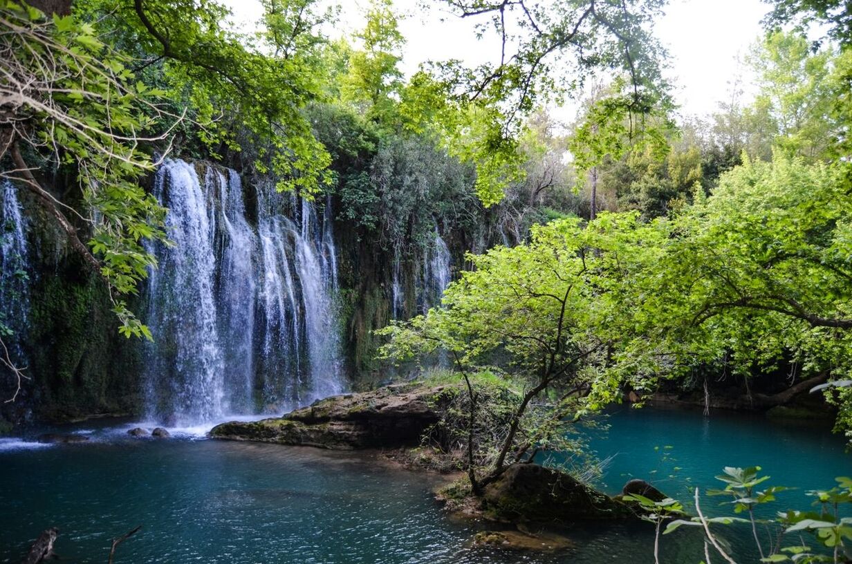 water, tree, flowing water, waterfall, beauty in nature, motion, flowing, scenics, nature, forest, rock - object, long exposure, growth, river, tranquility, tranquil scene, waterfront, green color, idyllic, plant