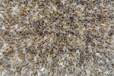 High angle view of pattern on floor