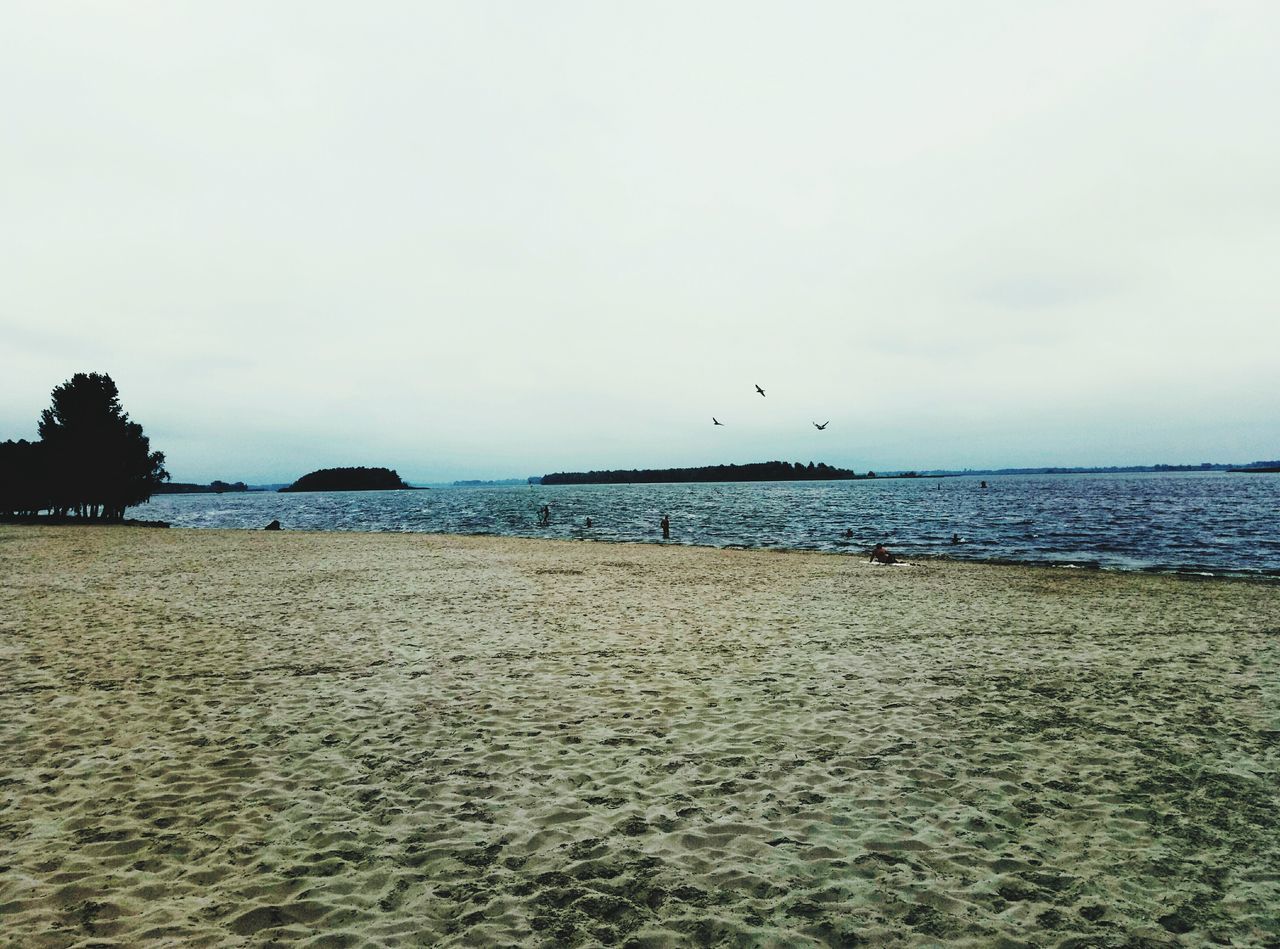 sea, water, nature, beach, bird, flying, outdoors, beauty in nature, sky, animal themes, tranquility, scenics, no people, sand, tranquil scene, animals in the wild, day, horizon over water