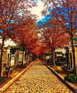 Footpath in autumn