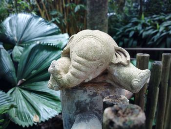 Close-up of statue against trees