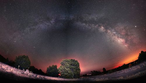 Low angle view of trees against sky at night