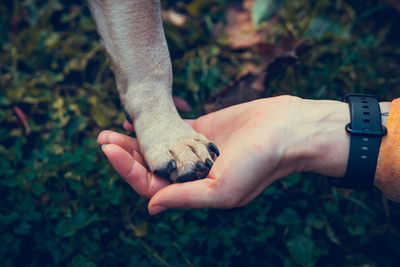 hand