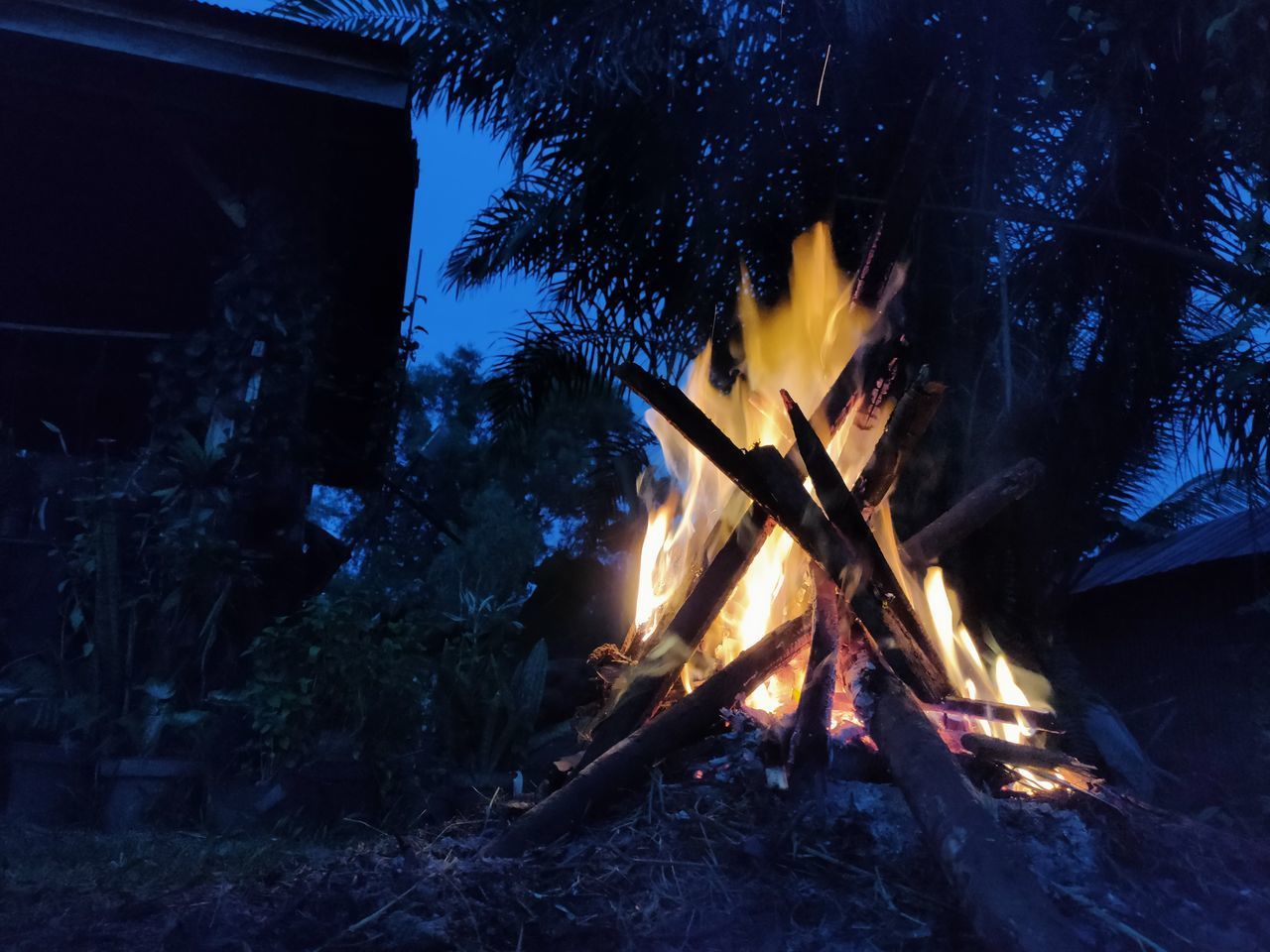 LOW ANGLE VIEW OF BONFIRE AGAINST TREES
