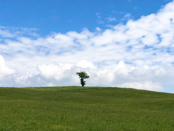 Scenic view of land against sky